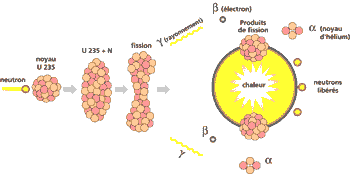 Principes de la Fission (source EDF)